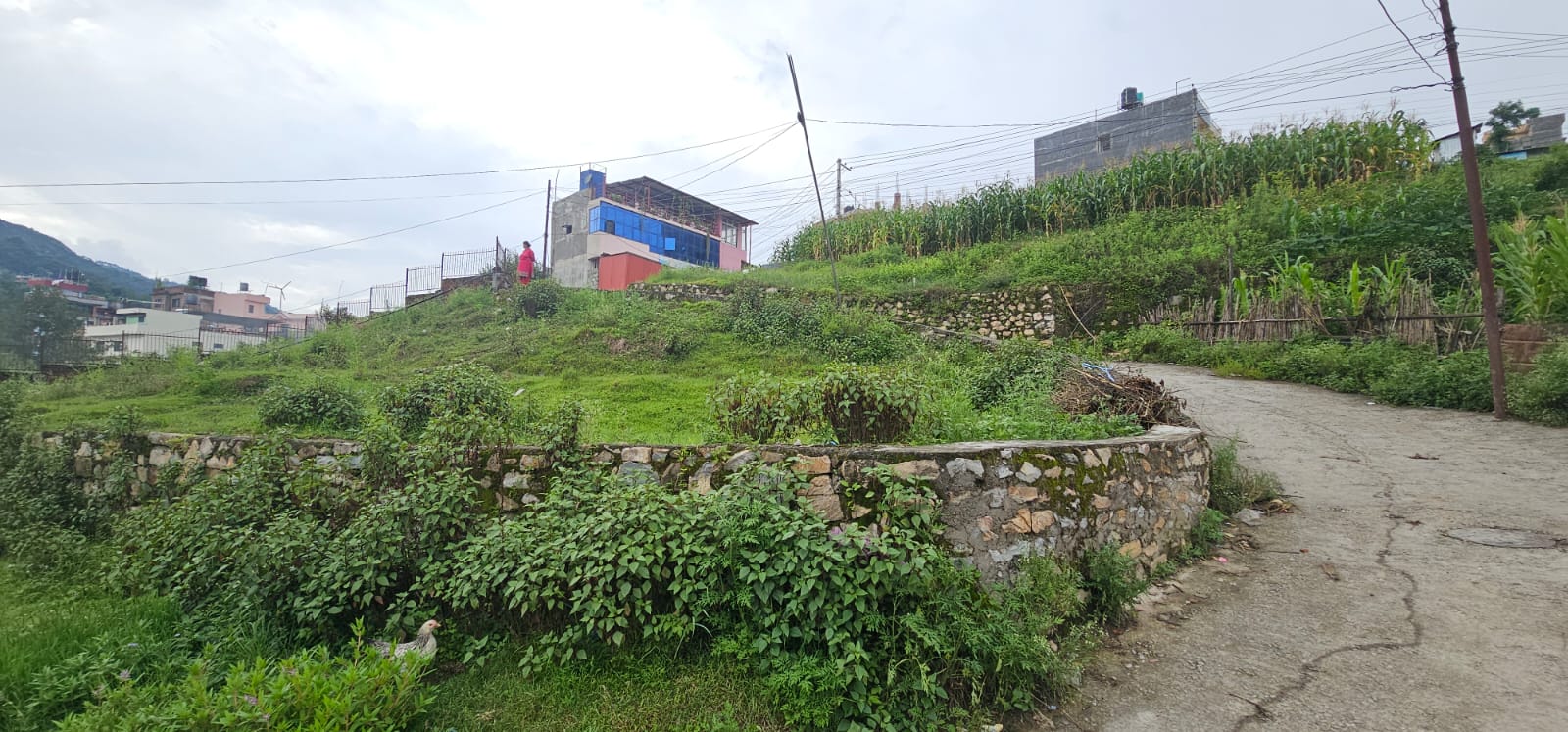 Picture of Nagarjun Municipality, Bagmati